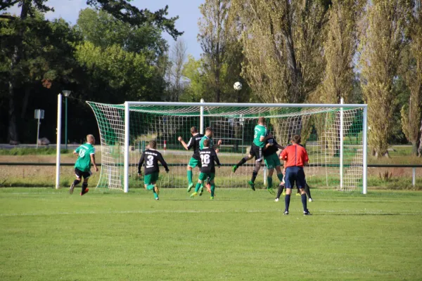 16.09.2017 SV Grün-Weiß Wörlitz vs. SV Friedersdorf