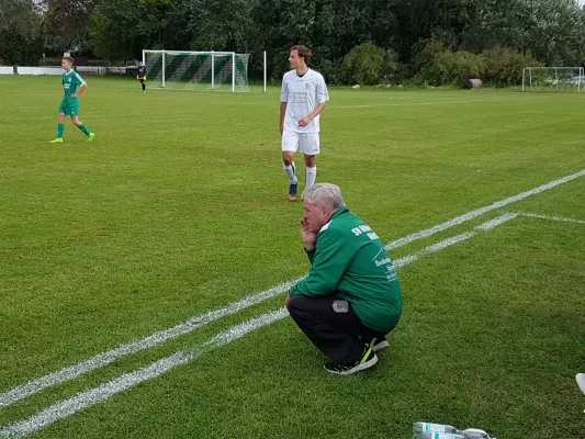 23.09.2017 SV Grün-Weiß Wörlitz vs. SV Grün-Weiß Annabur