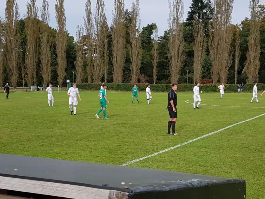 23.09.2017 SV Grün-Weiß Wörlitz vs. SV Grün-Weiß Annabur