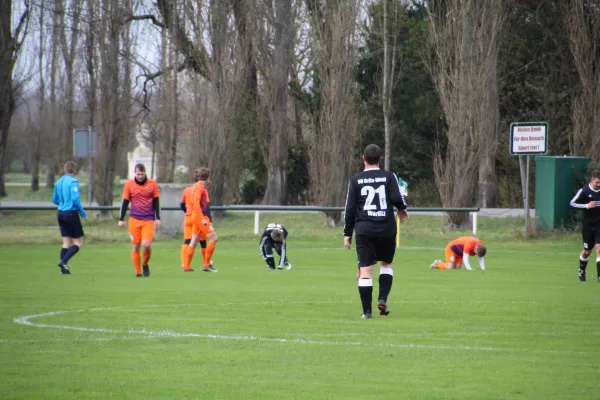 18.11.2017 SV Grün-Weiß Wörlitz vs. FC Victoria Wittenbe