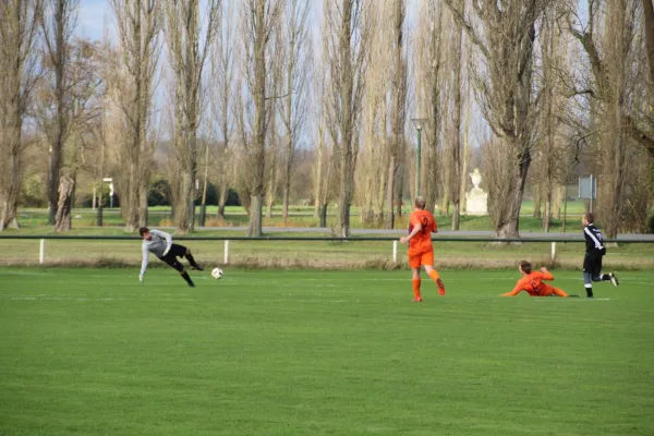 18.11.2017 SV Grün-Weiß Wörlitz vs. FC Victoria Wittenbe